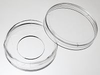 35 mm Glass bottom dish with 20 mm micro-well #1.5 high performance cover glass medium picture