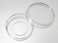 55 mm Glass bottom dish with 30 mm micro-well #1 cover glass medium picture