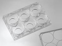 6 Micro-well glass bottom plate with 20 mm micro-well #1 cover glass medium picture
