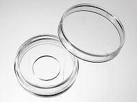 29 mm Glass bottom dish with 14 mm micro-well #1.5 cover glass medium picture
