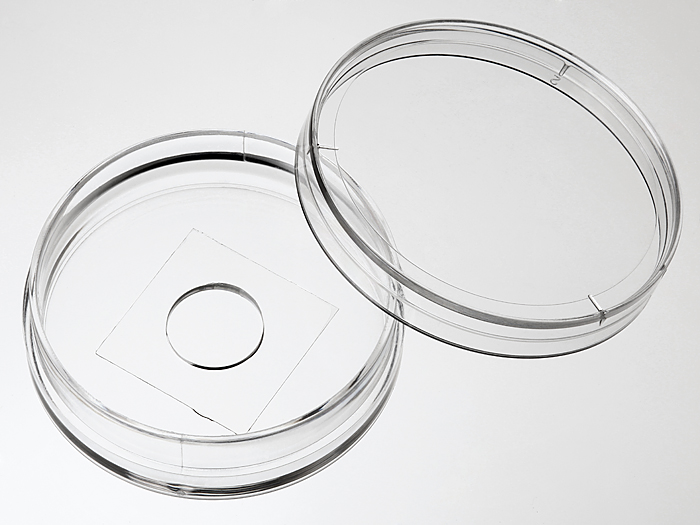 Petri dish cover deals
