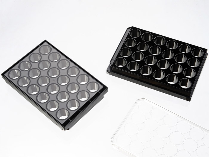 24 Well Plate with  #1.5 glass-like polymer coverslip bottom, tissue culture treated for better cell attachment than cover glass large picture