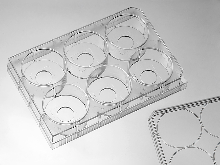 6 Micro-well glass bottom plate with 14 mm micro-well #1.5 cover glass large picture