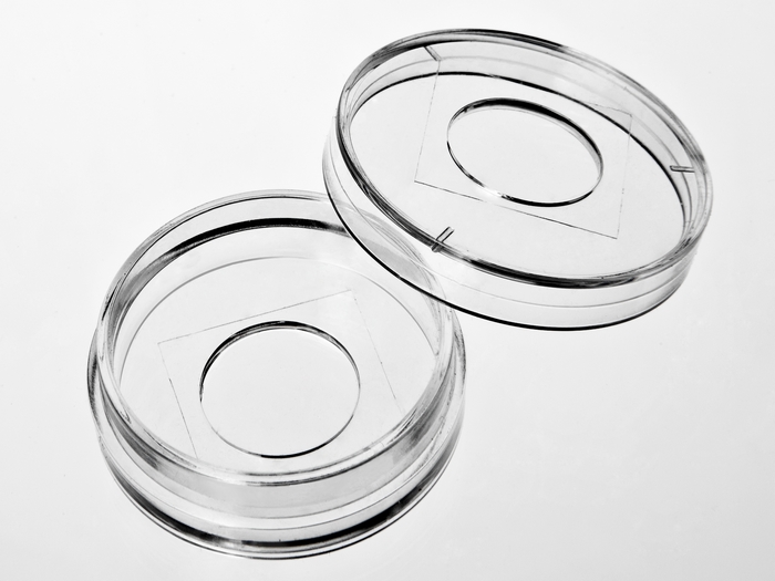 29 mm Glass top glass bottom dish with 14 mm micro-well #0 cover glass large picture